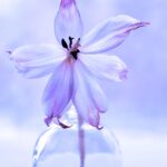 ефекти за здравето на тялото и психиката от прилагането на метода k-power